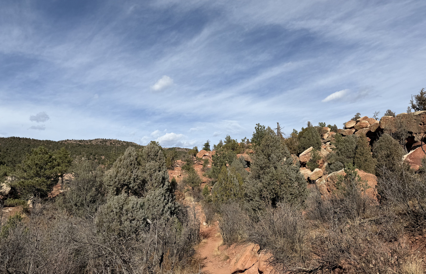 Garden of the Gods hiking trail through red rock and scrub oak