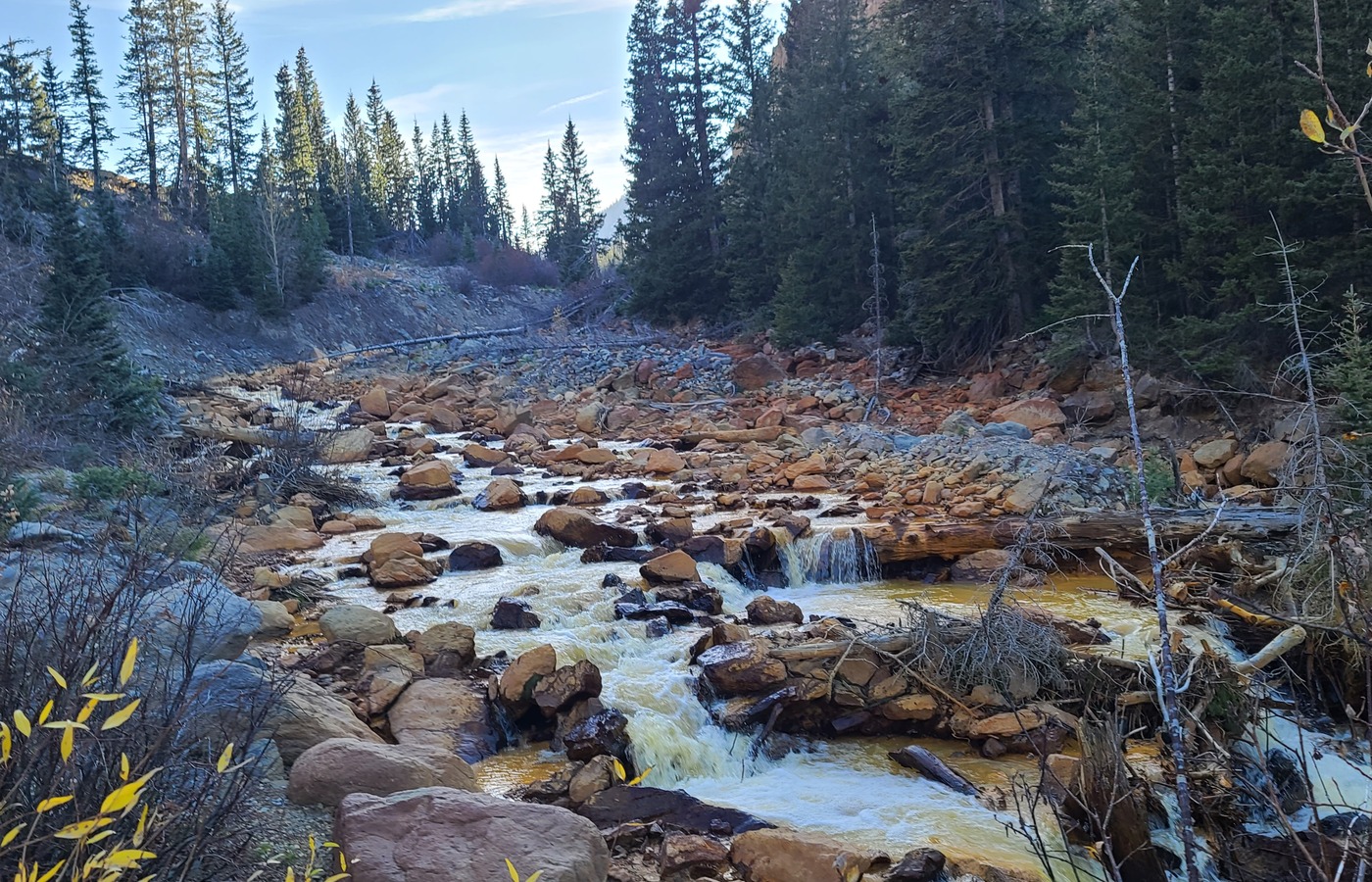 Creek and forest view from the Ouray trip
